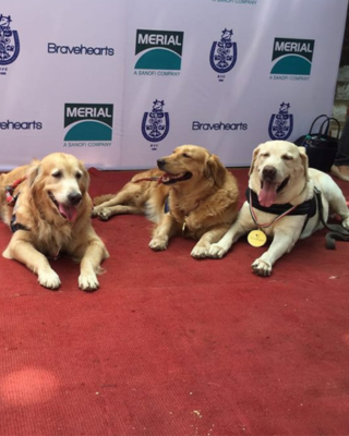 Braveheart Hero Dog Award